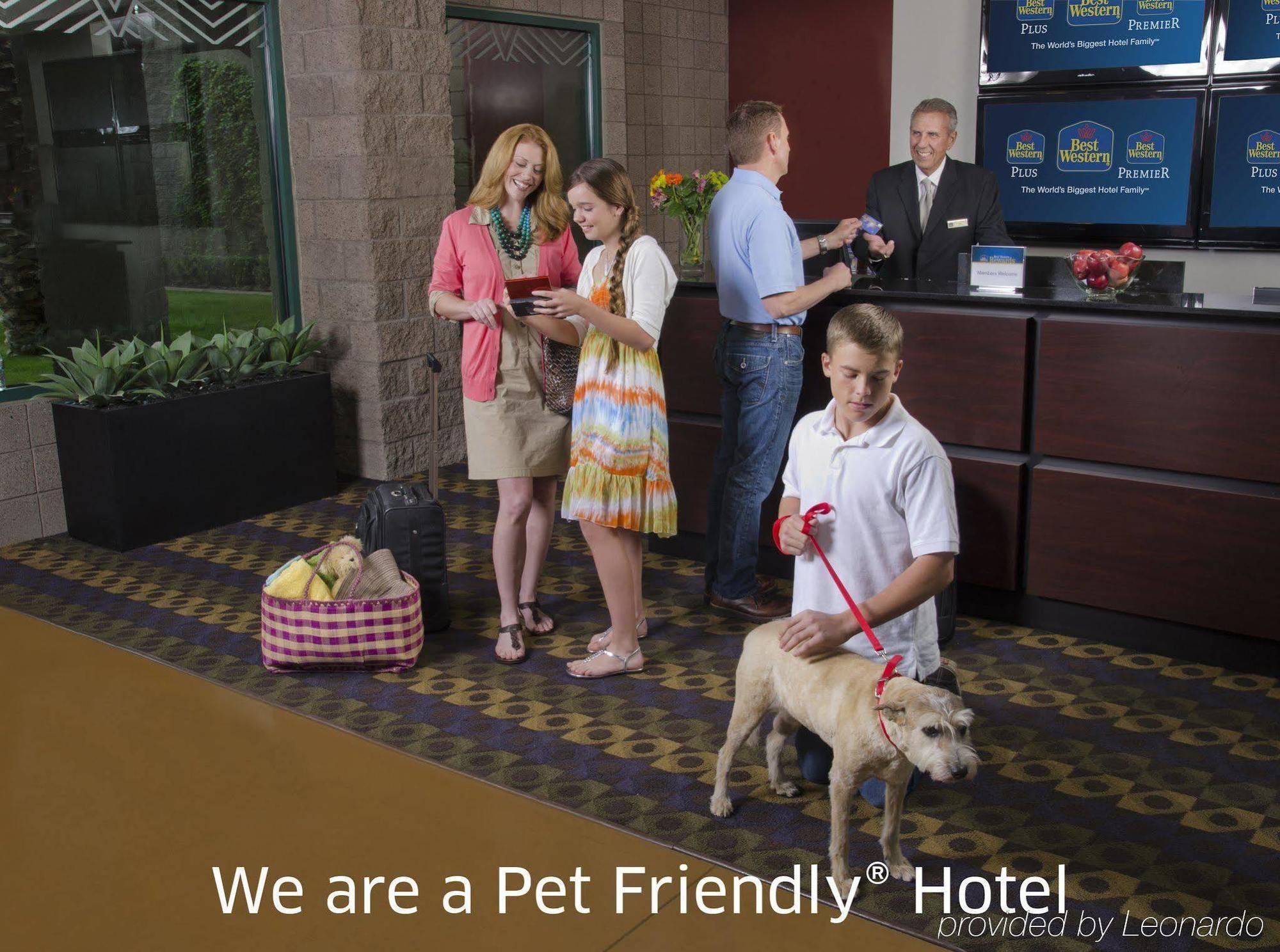Best Western Plus Finger Lakes Inn & Suites Cortland Eksteriør bilde